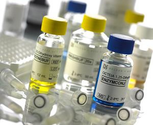 乙型流感病毒RNA質控品